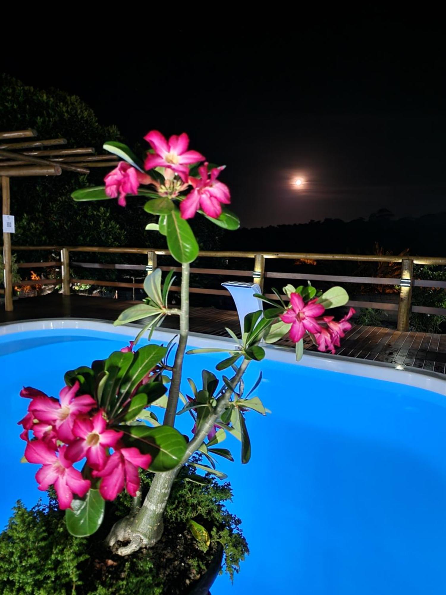 Pousada Canto Do Sabia Piuma Bagian luar foto